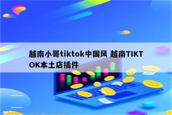 越南小哥tiktok中国风 越南TIKTOK本土店插件