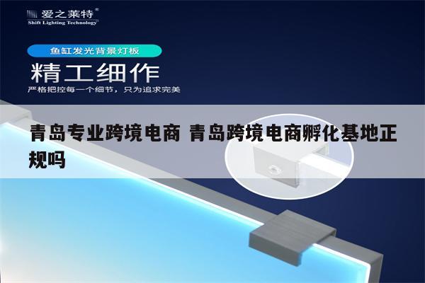 青岛专业跨境电商 青岛跨境电商孵化基地正规吗