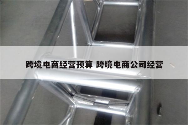 跨境电商经营预算 跨境电商公司经营