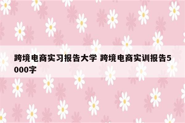 跨境电商实习报告大学 跨境电商实训报告5000字