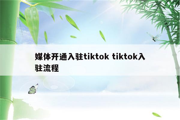 媒体开通入驻tiktok tiktok入驻流程