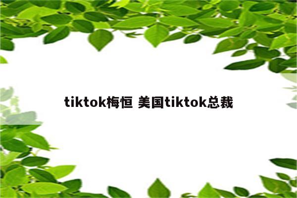 tiktok梅恒 美国tiktok总裁