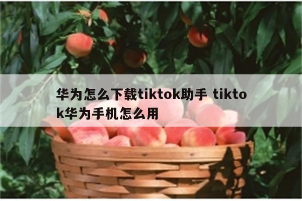 华为怎么下载tiktok助手 tiktok华为手机怎么用