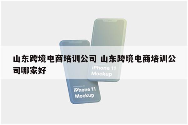 山东跨境电商培训公司 山东跨境电商培训公司哪家好
