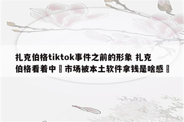 扎克伯格tiktok事件之前的形象 扎克伯格看着中國市场被本土软件拿钱是啥感覺