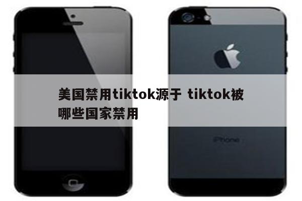 美国禁用tiktok源于 tiktok被哪些国家禁用