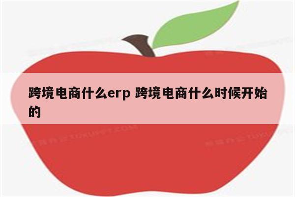 跨境电商什么erp 跨境电商什么时候开始的