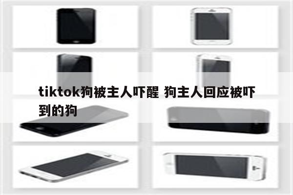 tiktok狗被主人吓醒 狗主人回应被吓到的狗
