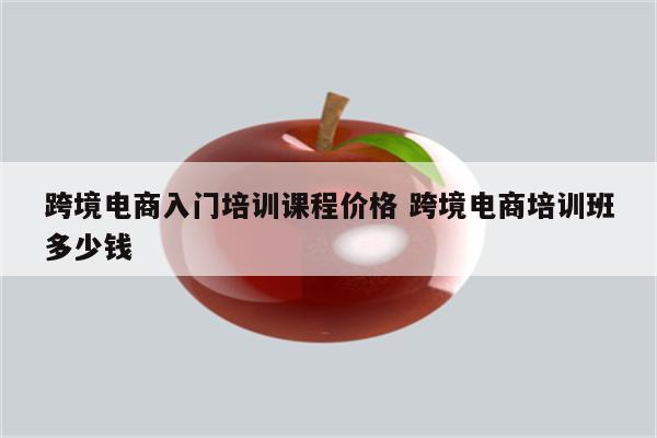 跨境电商入门培训课程价格 跨境电商培训班多少钱