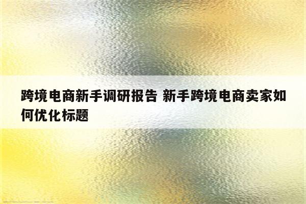 跨境电商新手调研报告 新手跨境电商卖家如何优化标题