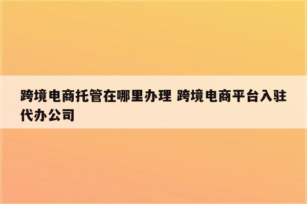 跨境电商托管在哪里办理 跨境电商平台入驻代办公司