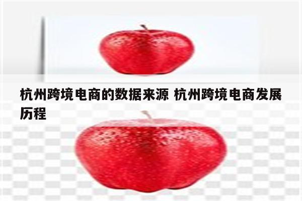 杭州跨境电商的数据来源 杭州跨境电商发展历程