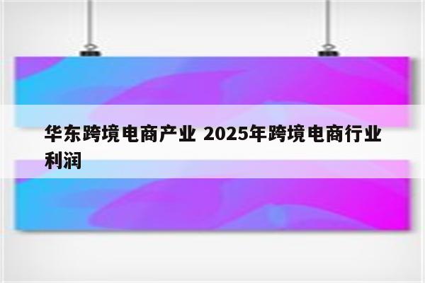 华东跨境电商产业 2025年跨境电商行业利润
