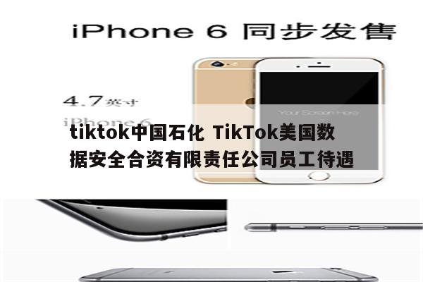 tiktok中国石化 TikTok美国数据安全合资有限责任公司员工待遇