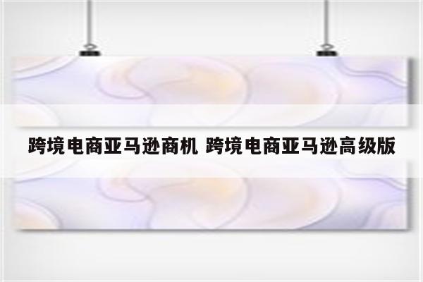 跨境电商亚马逊商机 跨境电商亚马逊高级版