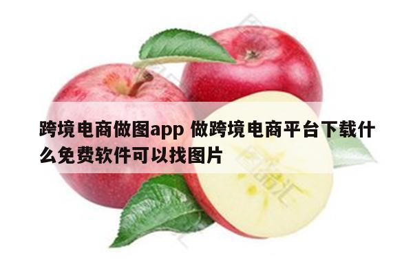 跨境电商做图app 做跨境电商平台下载什么免费软件可以找图片
