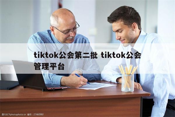 tiktok公会第二批 tiktok公会管理平台