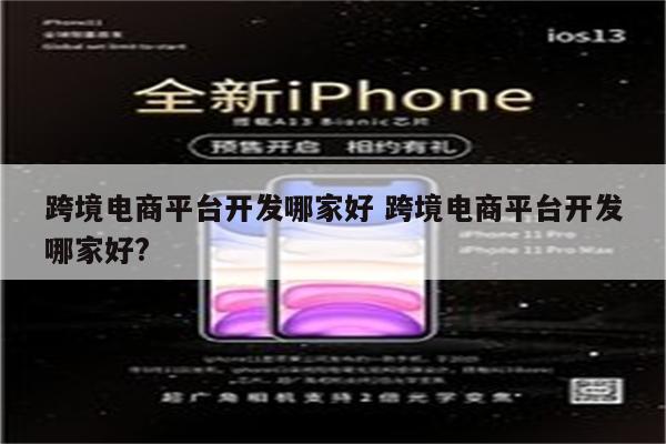 跨境电商平台开发哪家好 跨境电商平台开发哪家好?