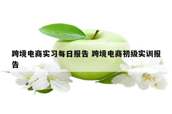 跨境电商实习每日报告 跨境电商初级实训报告