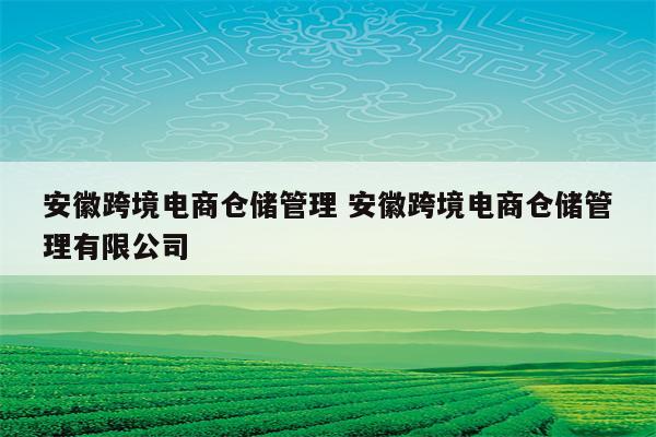 安徽跨境电商仓储管理 安徽跨境电商仓储管理有限公司