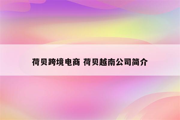 荷贝跨境电商 荷贝越南公司简介
