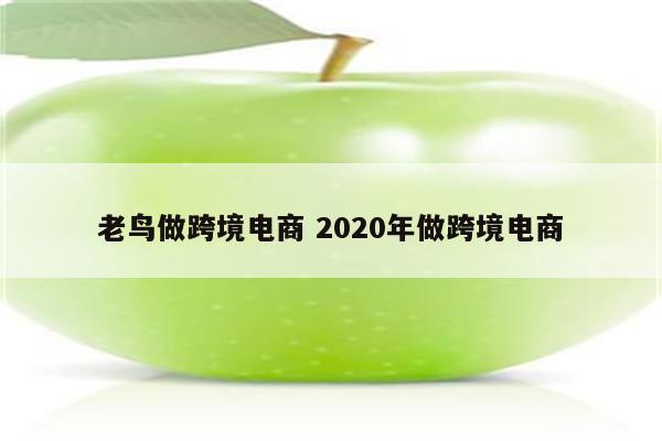 老鸟做跨境电商 2020年做跨境电商
