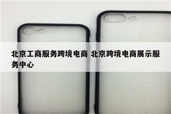 北京工商服务跨境电商 北京跨境电商展示服务中心