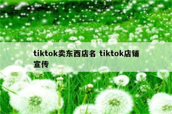 tiktok卖东西店名 tiktok店铺宣传