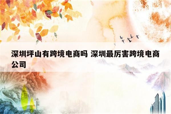 深圳坪山有跨境电商吗 深圳最厉害跨境电商公司