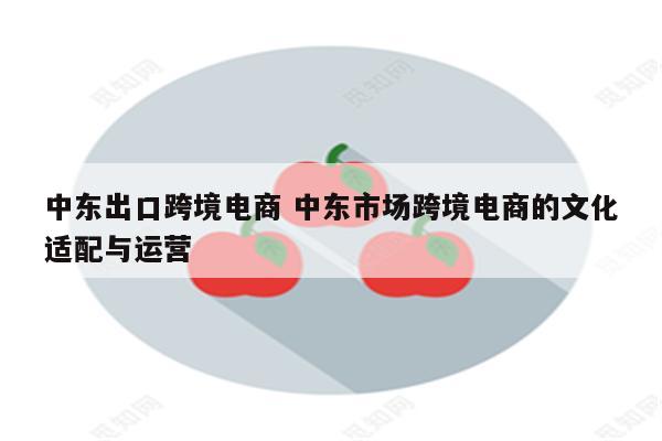 中东出口跨境电商 中东市场跨境电商的文化适配与运营