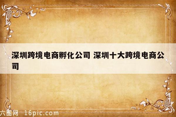 深圳跨境电商孵化公司 深圳十大跨境电商公司