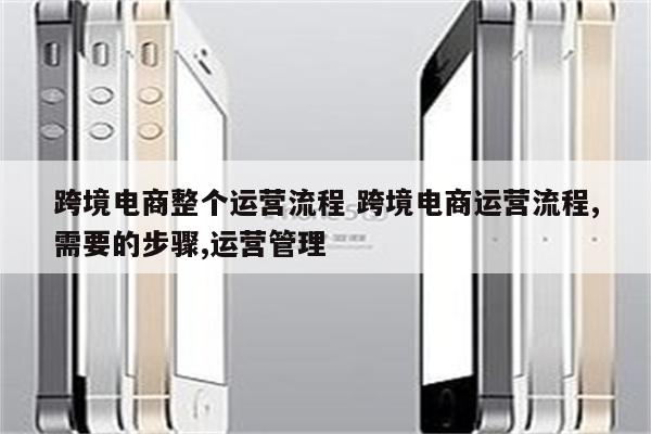 跨境电商整个运营流程 跨境电商运营流程,需要的步骤,运营管理