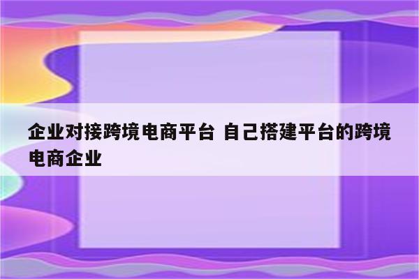 企业对接跨境电商平台 自己搭建平台的跨境电商企业