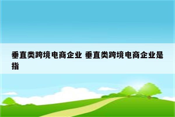 垂直类跨境电商企业 垂直类跨境电商企业是指