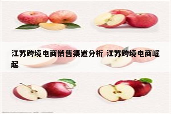 江苏跨境电商销售渠道分析 江苏跨境电商崛起