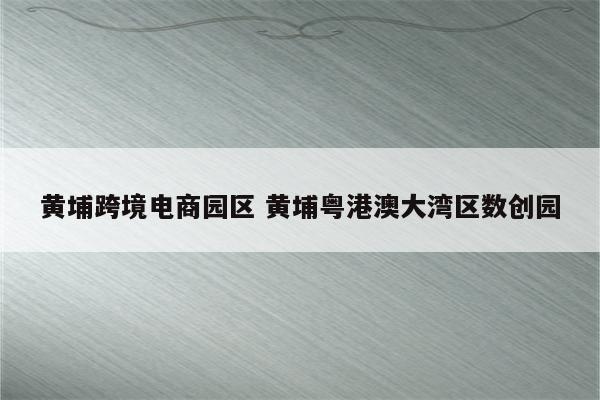 黄埔跨境电商园区 黄埔粤港澳大湾区数创园