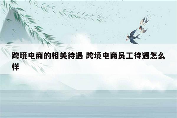 跨境电商的相关待遇 跨境电商员工待遇怎么样