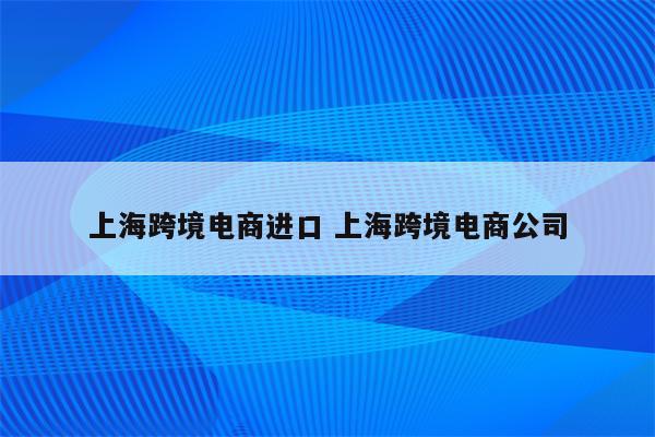 上海跨境电商进口 上海跨境电商公司