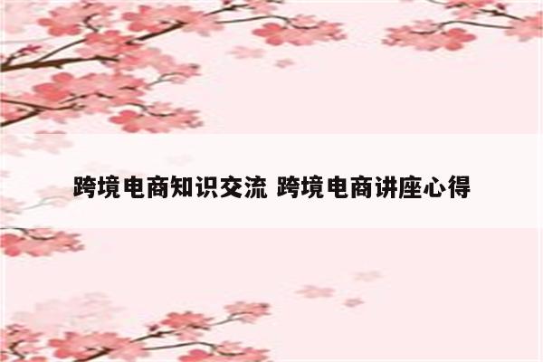 跨境电商知识交流 跨境电商讲座心得