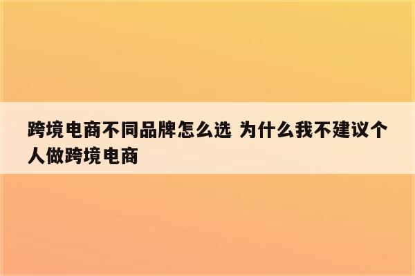跨境电商不同品牌怎么选 为什么我不建议个人做跨境电商