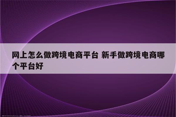 网上怎么做跨境电商平台 新手做跨境电商哪个平台好