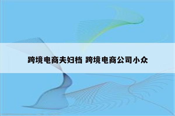 跨境电商夫妇档 跨境电商公司小众