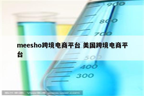 meesho跨境电商平台 美国跨境电商平台