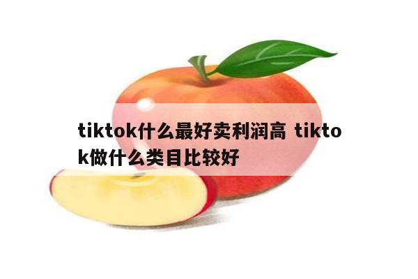 tiktok什么最好卖利润高 tiktok做什么类目比较好