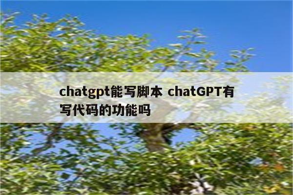 chatgpt能写脚本 chatGPT有写代码的功能吗