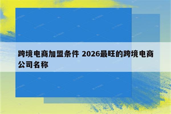 跨境电商加盟条件 2026最旺的跨境电商公司名称