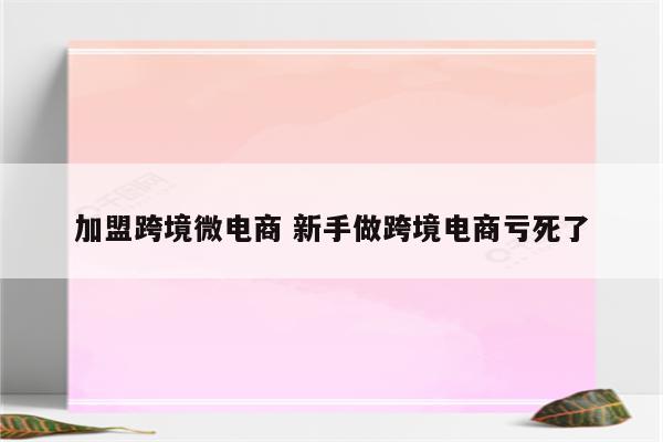 加盟跨境微电商 新手做跨境电商亏死了