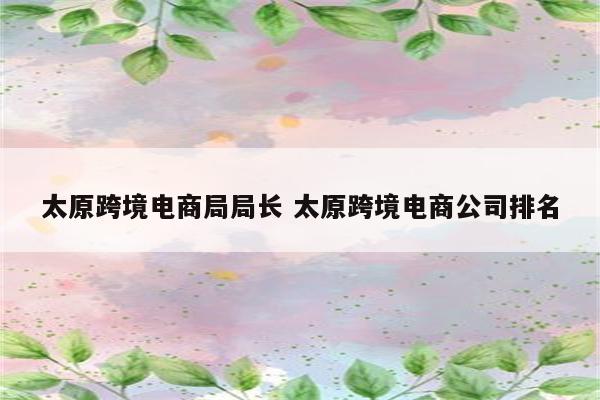 太原跨境电商局局长 太原跨境电商公司排名