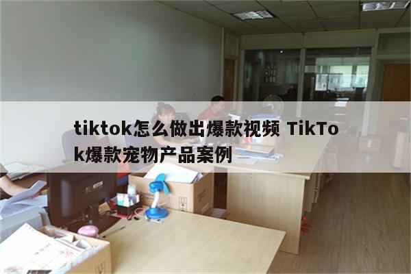 tiktok怎么做出爆款视频 TikTok爆款宠物产品案例