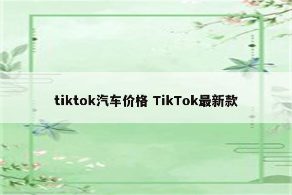 tiktok汽车价格 TikTok最新款